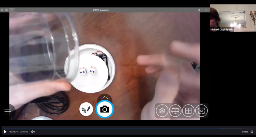 Virtual dice spinner build through Zoom.
