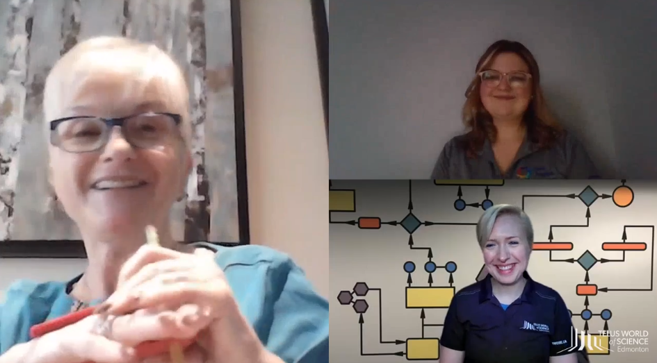 Brenda partaking in a virtual talk.