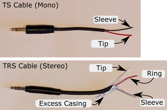 Two cables stripped to show their internal electronics.
