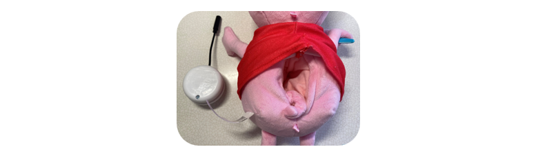 A peppa pig toy flipped over showing where the internal component is store inside its belly.