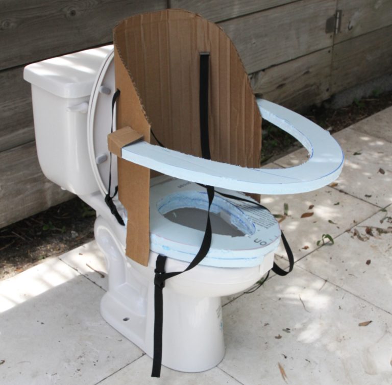 An adapted toilet.