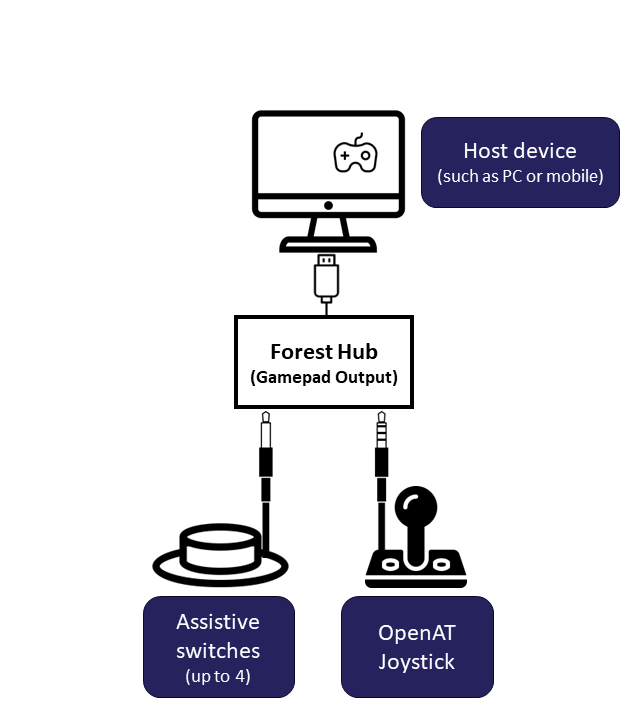 A diagram showing a switch and open AT joystick plugged into the Forst Hub Gamepad Output and computer